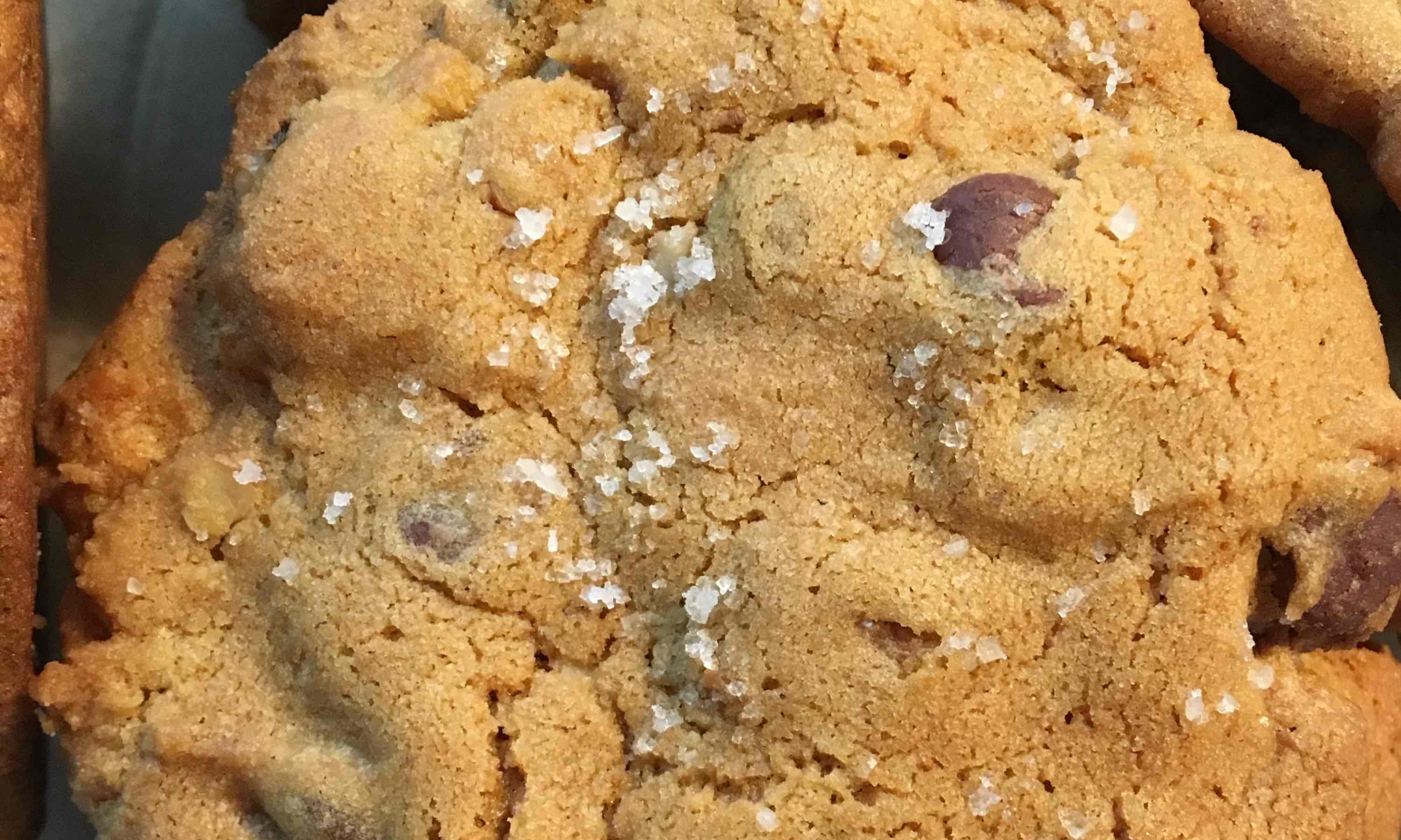Chocolate Chip Cookies – Vain Foods